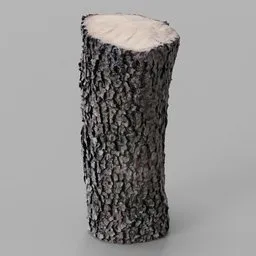 Oak Log