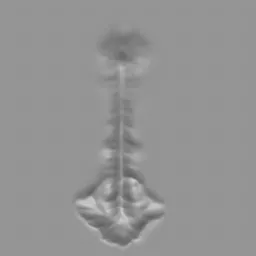 3D muscle sculpting brush imprint resembling a male spine, optimized for Blender 3D sculpting workflows.