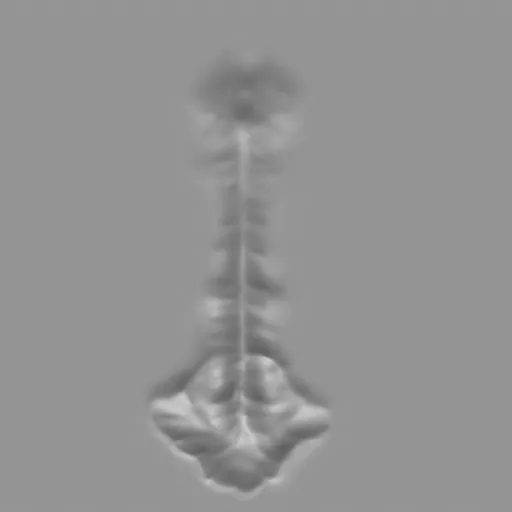 3D muscle sculpting brush imprint resembling a male spine, optimized for Blender 3D sculpting workflows.