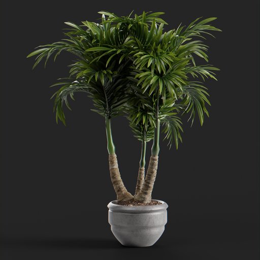 Thumbnail: Laura Plant