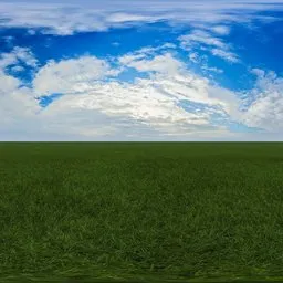 Green grass cloudy blue sky pure sky