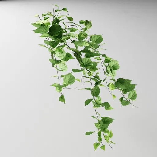 Detailed 3D philodendron tendril model with lush green leaves for Blender users, editable in edit mode.