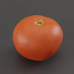 "High-quality 3D model of a Tomato with 8k textures, scanned and optimized for Blender 3D. Perfect for realistic fruit and vegetable renderings. Inspired by the detailed work of Oleg Lipchenko and optimized with OpenGL for smooth, clean textures."