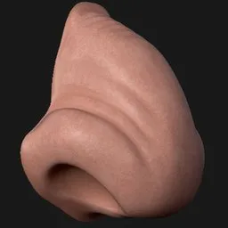Wrinkled Broad