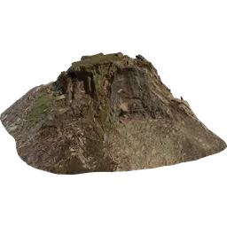 Tree Stump 01