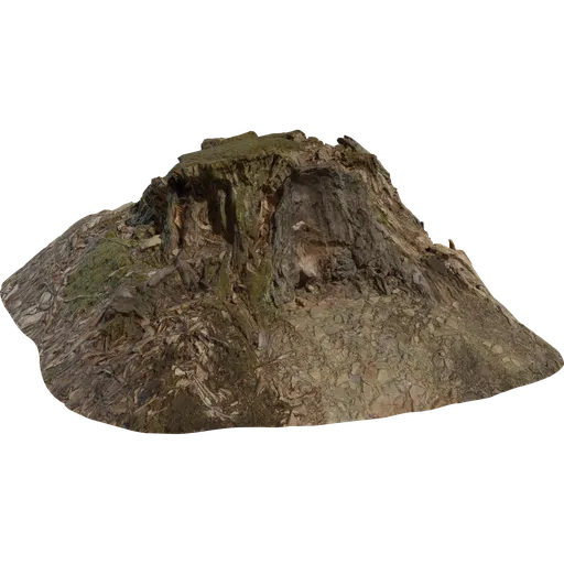 Tree Stump 01