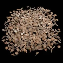 Old Ground Debris