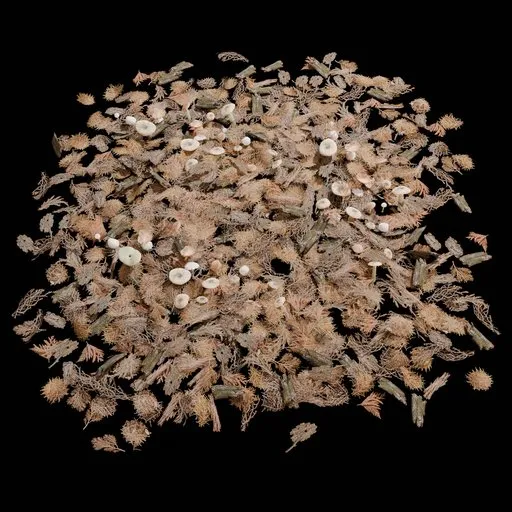 Old Ground Debris