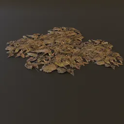 Debris Dry Leaves GN