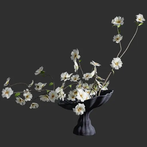 White Cosmos Arrangement in Vase