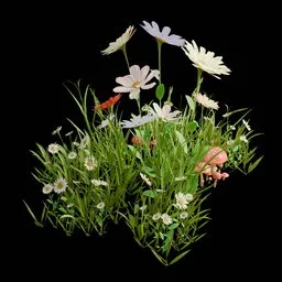 Garden and Yard Flowers