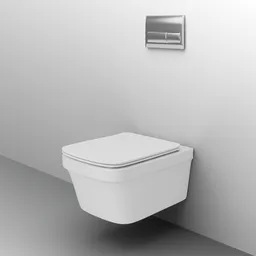 Toilet (Wall Mounted Toilet)
