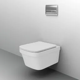 Toilet (Wall Toilet)
