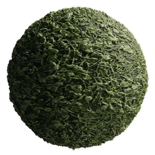 Grass 01