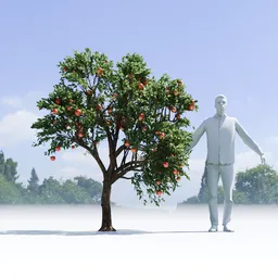 Apple Tree
