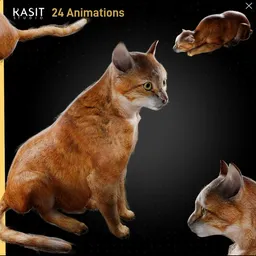 Orange Cat Animated