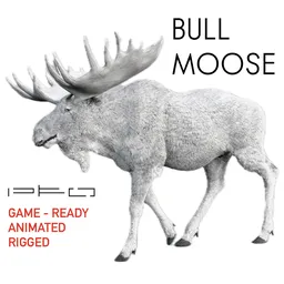 Bull Moose White