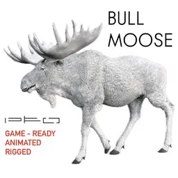 Bull Moose White
