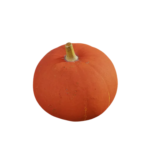 Pumpkin