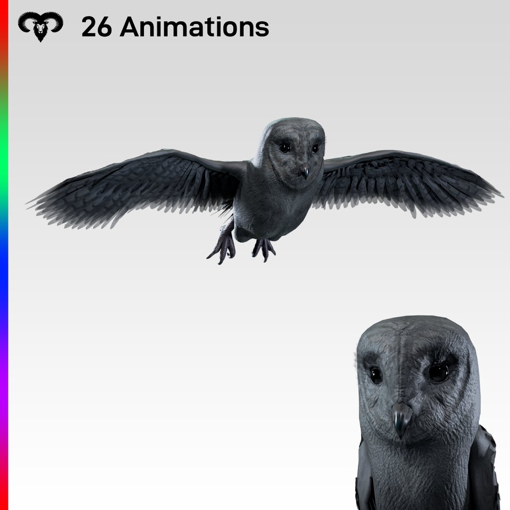 Owl Animated Bird Male | Birds models | BlenderKit