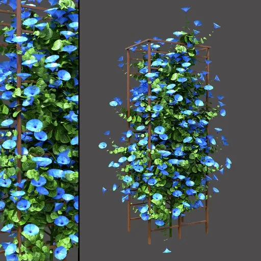 Blooming Vine Trellis