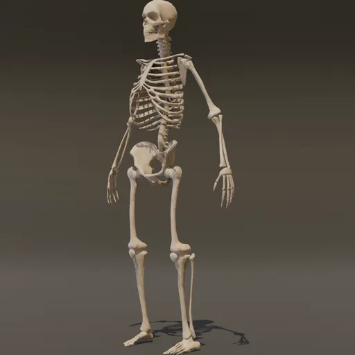 Halloween Skeleton Monster Rigged