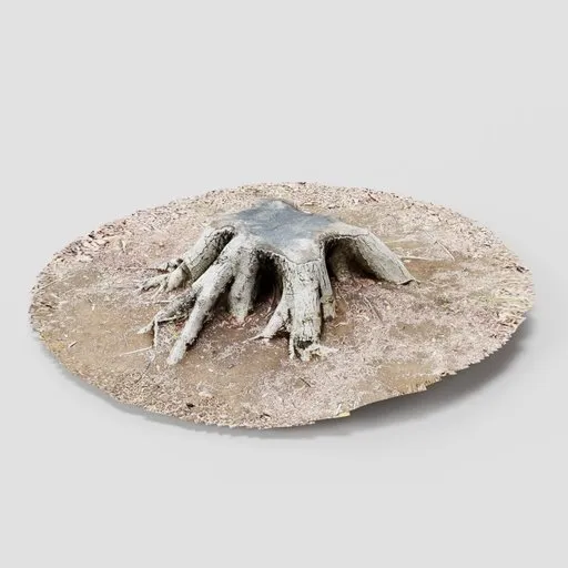 Tree Stump