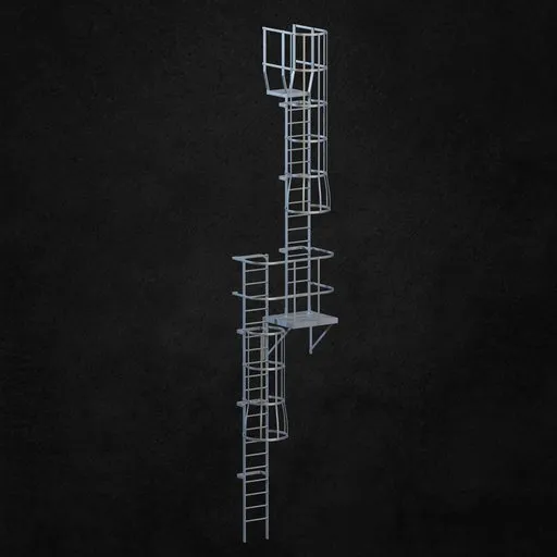 Exterior ladder