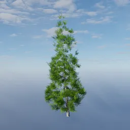 Short Evergreen Mid-Poly Tree