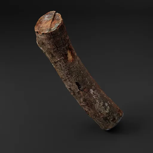 Tree Log