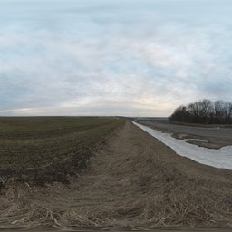 Rural Winter Roadside
