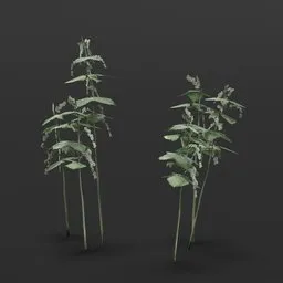 Detailed Blender 3D model of a small nettle bush suitable for games and diverse 3D environments.