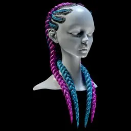 Braided Hair