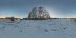 360-degree Birchwood HDR panorama for realistic indoor scene lighting with snowy landscape and clear sky.