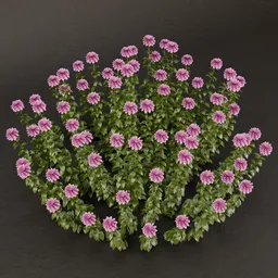 SJ-Forest Whisper Blooms