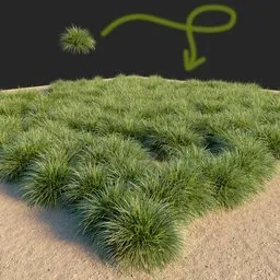 Grass bush