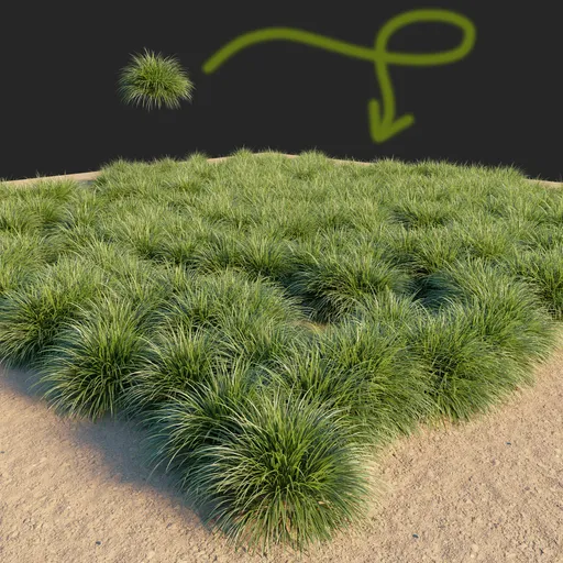 Grass bush
