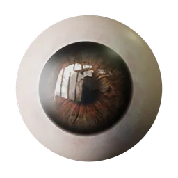 Eye