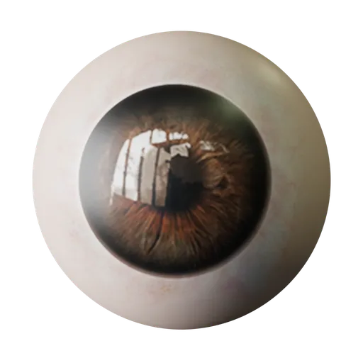 Eye