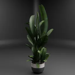 Banana Leaf Plant Decorative Pot