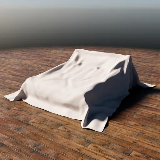 Shrouded Bed