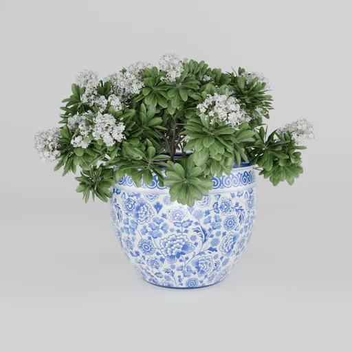 Bouquet Flowers