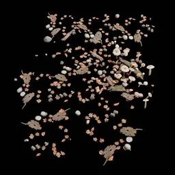 Old Ground Debris