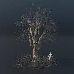 Oak Tree - Gnarled (Winter)