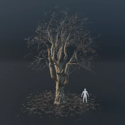 Oak Tree - Gnarled (Winter)