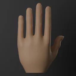 Female hand Basemesh