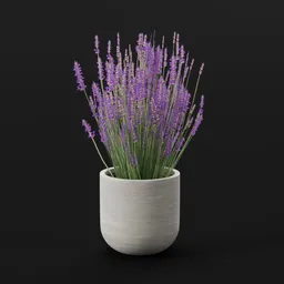 Lavender Flower Pot