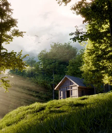 Forest Cabin Hillside