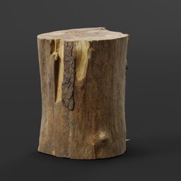 Log Chopping Stump