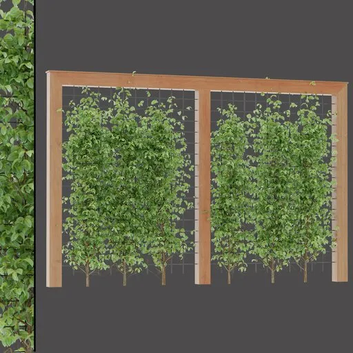 Vertical Garden Trellis Row